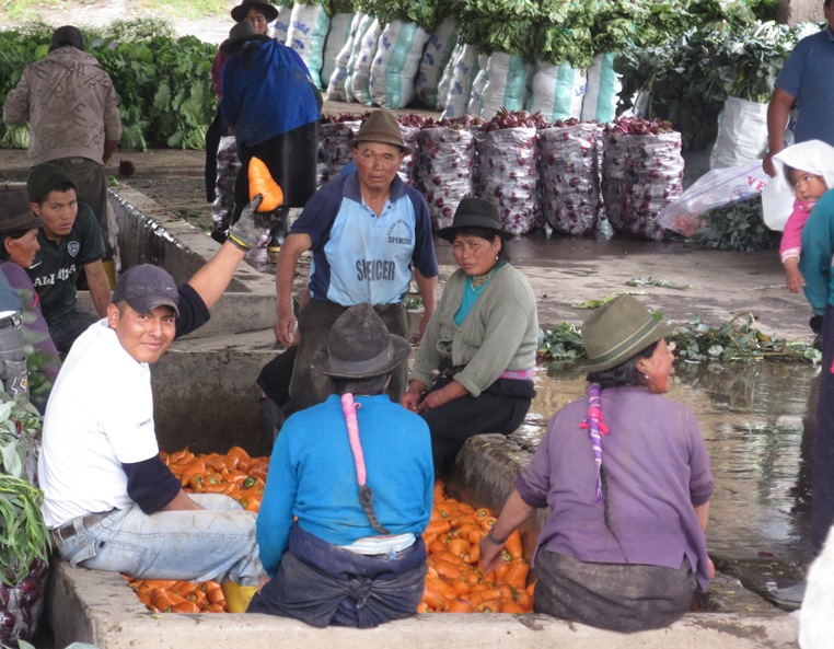 ECLOF Ecuador- producers association